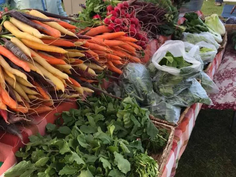 Vegetables at the Boyne City Farmers Market