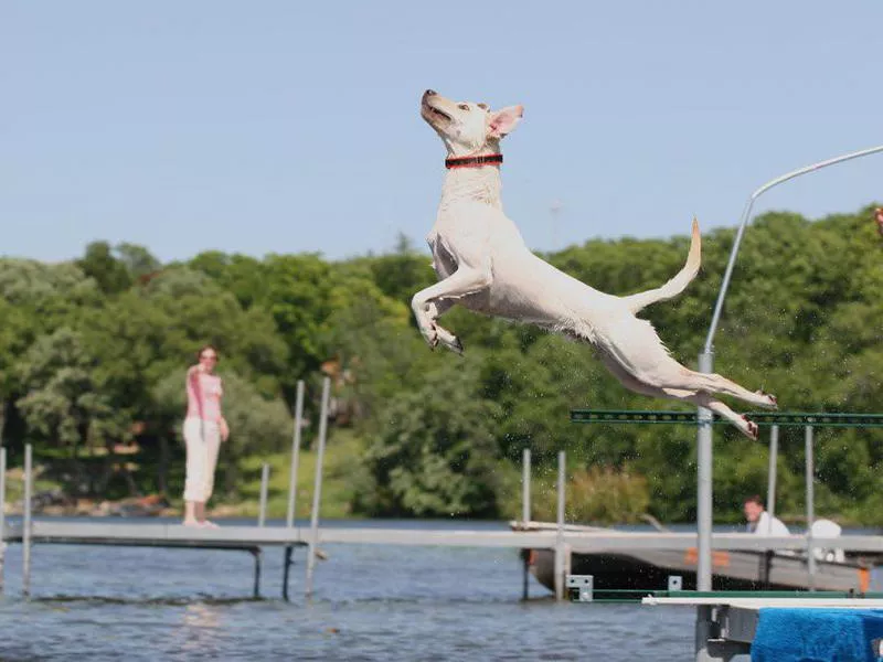 Camp Dogwood, Wisconsin