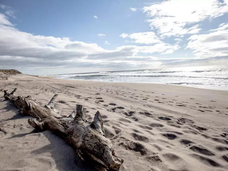 Montauk Beach in Long Island