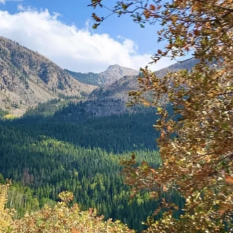 Independence Pass