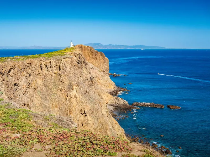 Anacapa Island Channel Islands National Park California