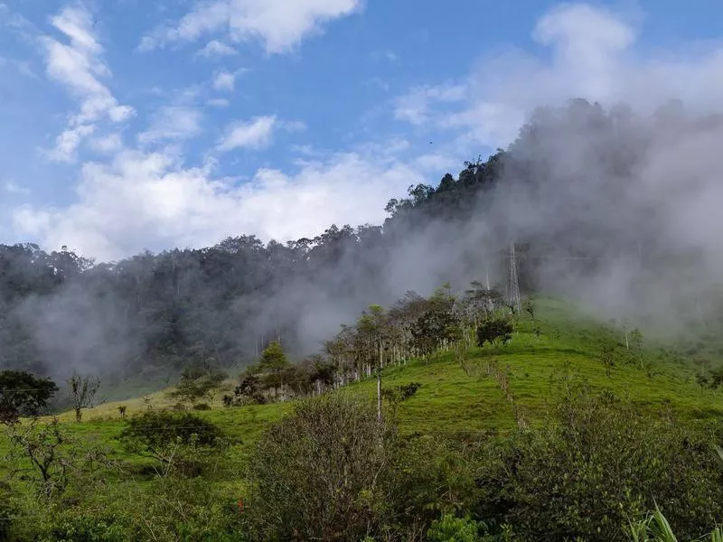 Bellavista Cloud Forest Reserve