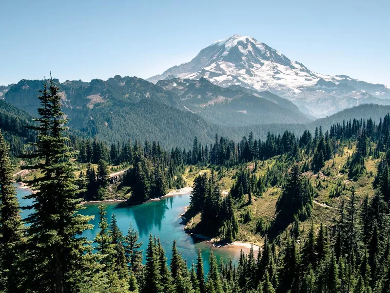 Rainier National Park