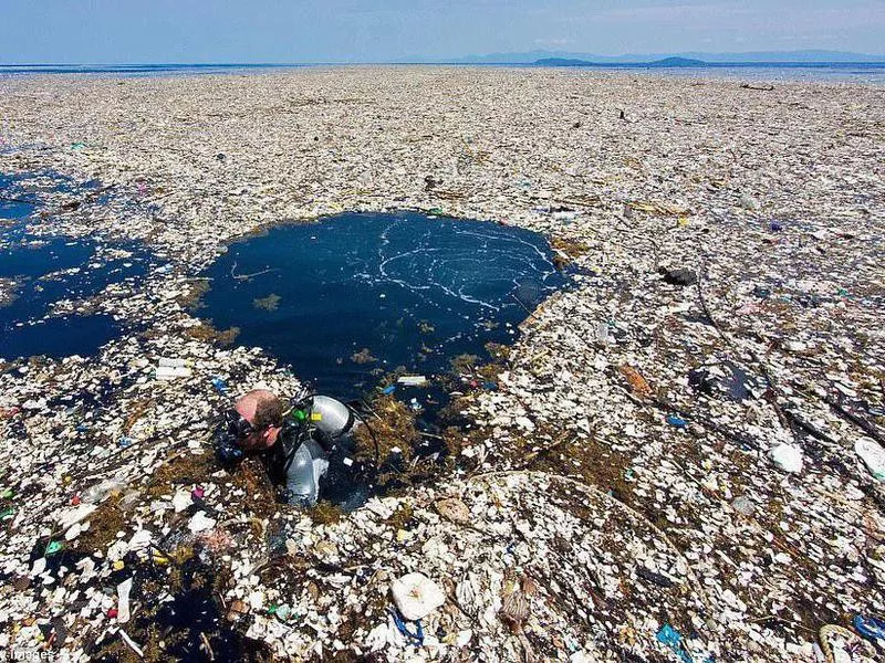 Great Pacific Garbage Patch