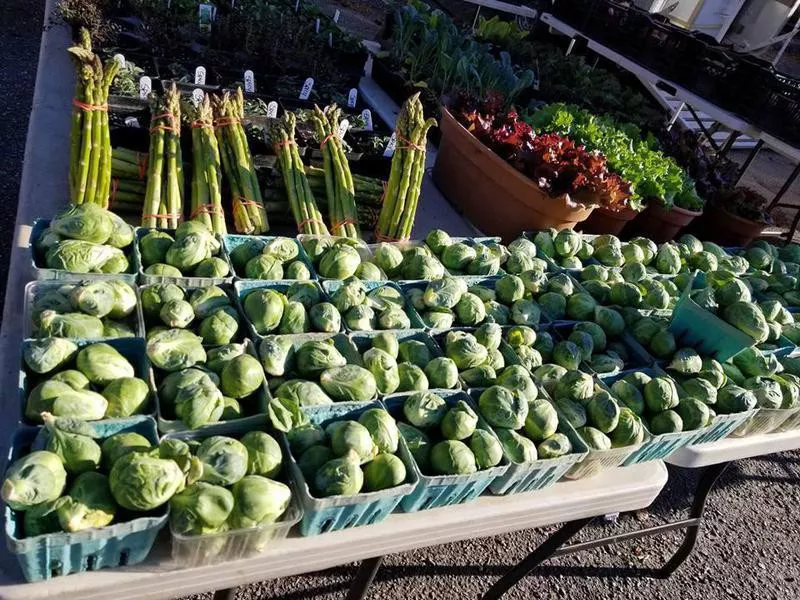 Greens at the South of the James Market