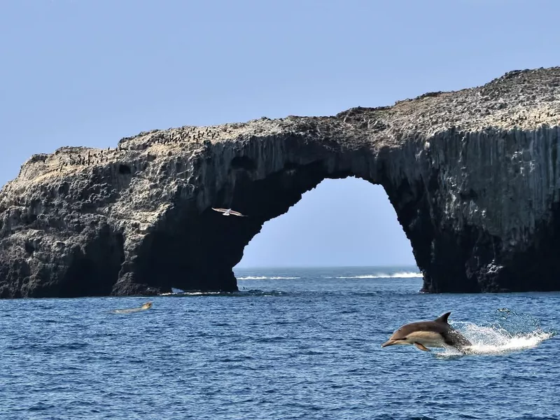 Channel Islands National Park