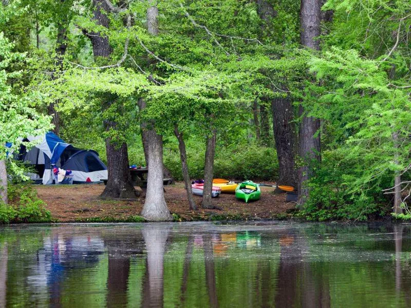 Trap Pond State Park