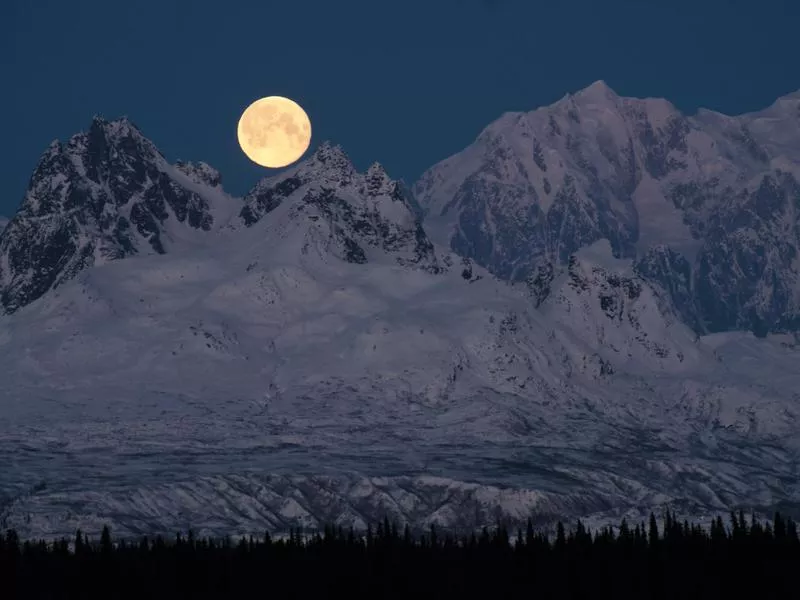 Denali National Park