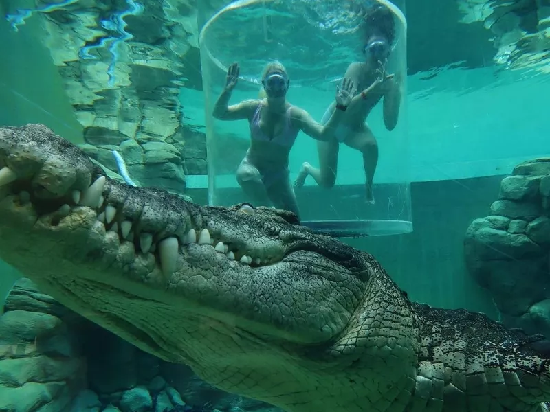 Crocosaurus Cove