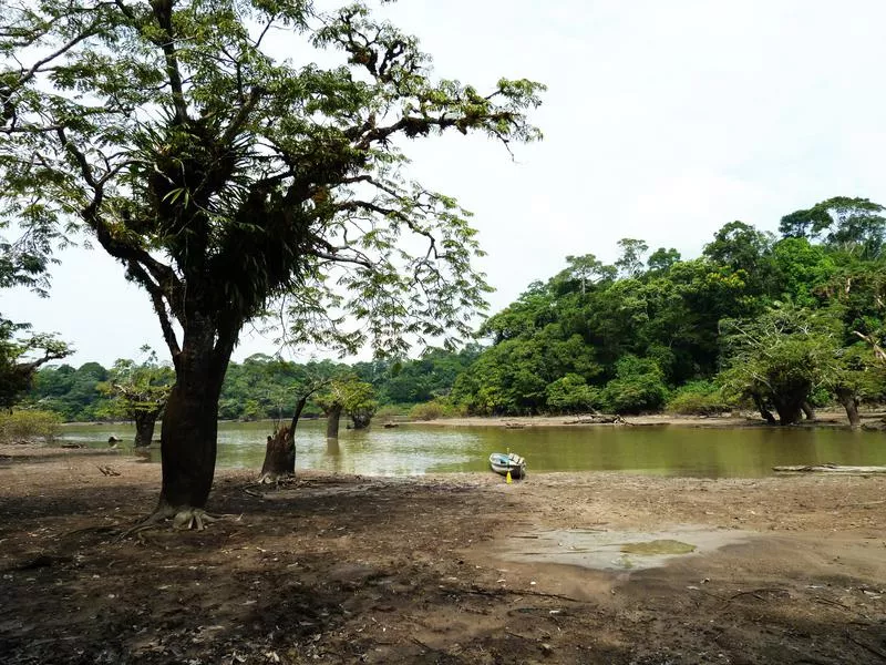 Amazon River