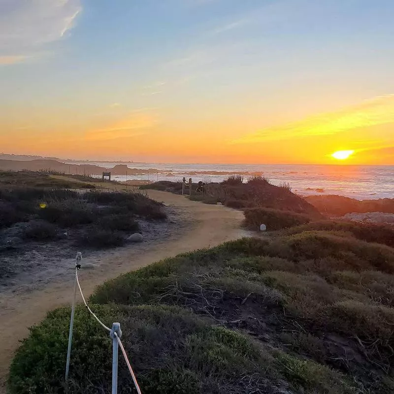 Asilomar State Beach