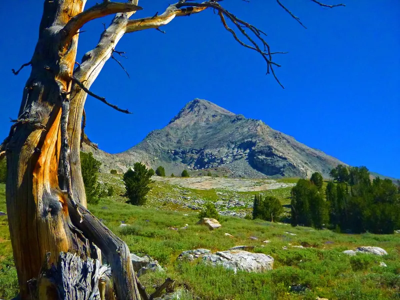 Idaho Hyndman Trail