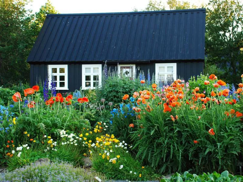 Akureyri Botanical Garden