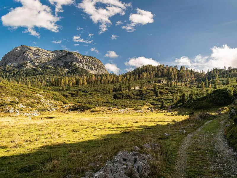 Dolomiti Bellunesi National Park