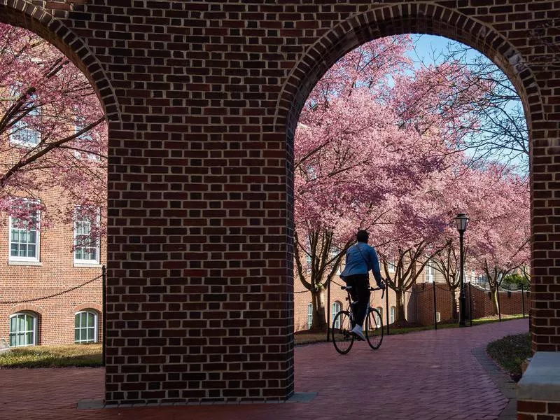 Student at University of Delaware