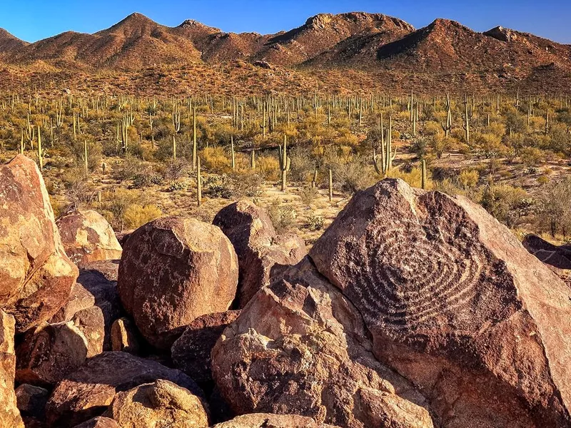 Hohokam Petroglyphs in Saguaro National Park