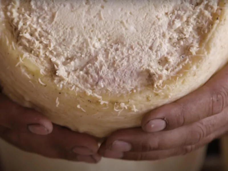 Casu Marzu