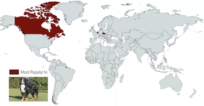 BMD map