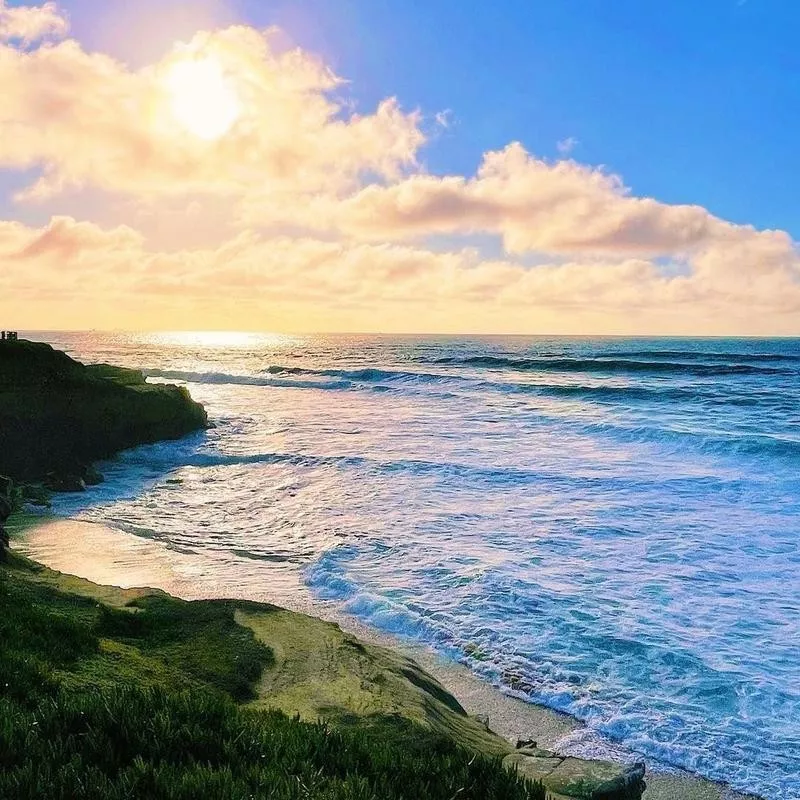 La Jolla Cove