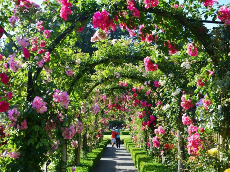 Butchart Gardens