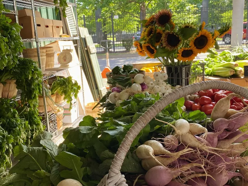 Fresh vegetables sold at Nashville Farmers Market in Tennessee