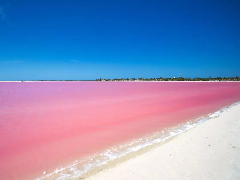 Las Coloradas, Yucatan, Mexico