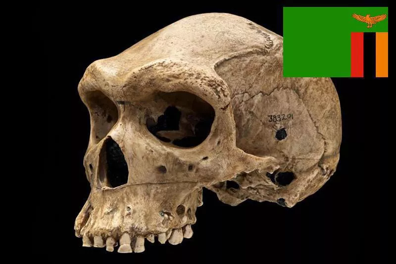 Human fossil, caves of Kabwe, Zambia