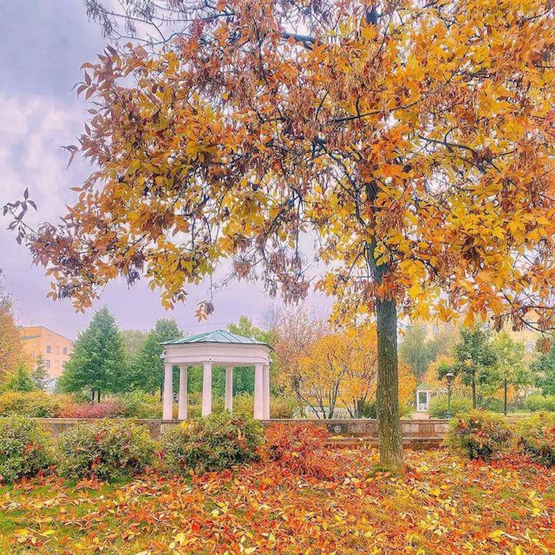 The Polish Garden in Saint Petersburg