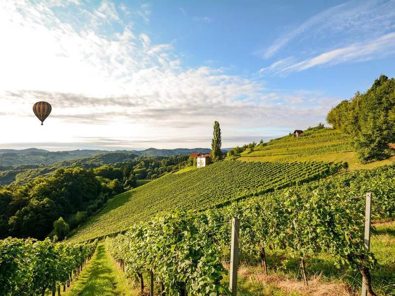 Vineyards in Tuscany, Italy