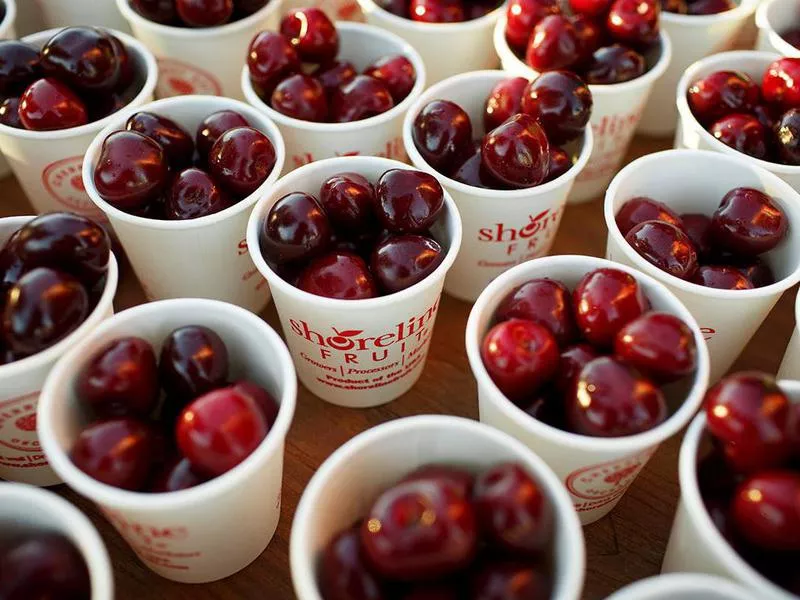 National Cherry Festival