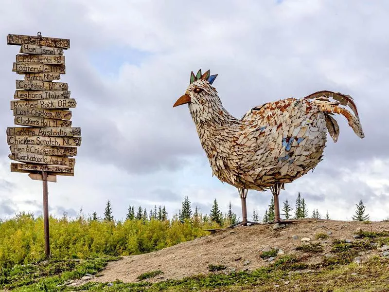 Signs in Old abandoned mining city of Chicken Alaska