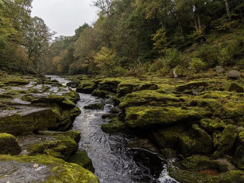 River Wharfe and the Strid in England