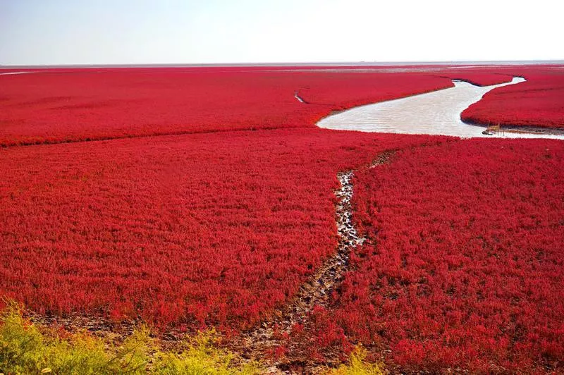 Panjin, China