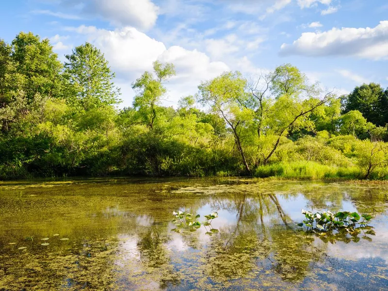 Jamestown Audubon Center and Sanctuary