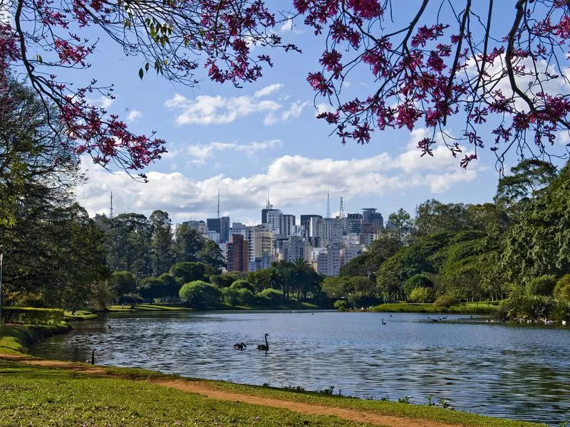 Ibirapuera Park