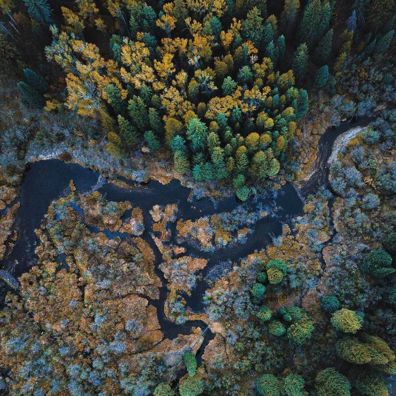 Roaring Fork River