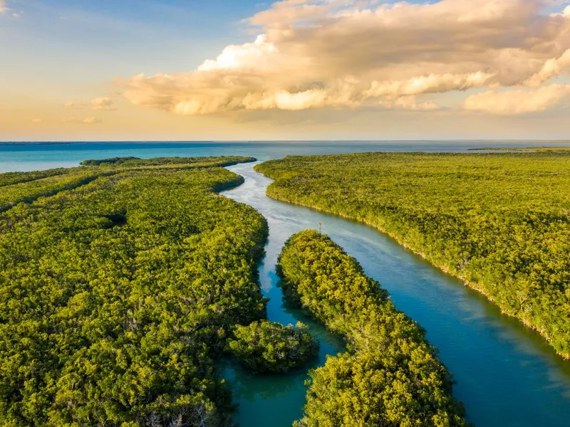 Everglades National Park at sunset, Florida, USA