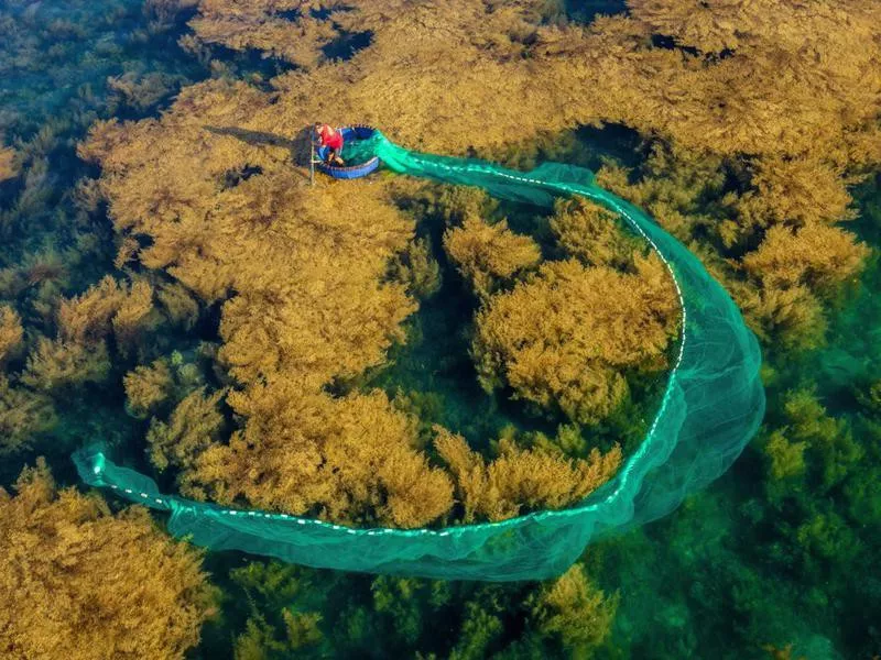 Vietnamese fisherman