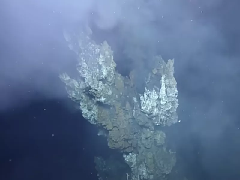 Hydrothermal vent