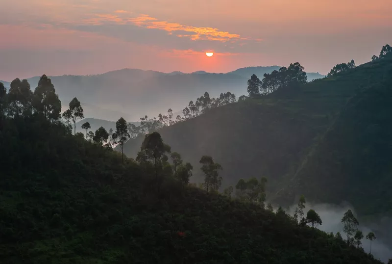 Bwindi Impenetrable Forest