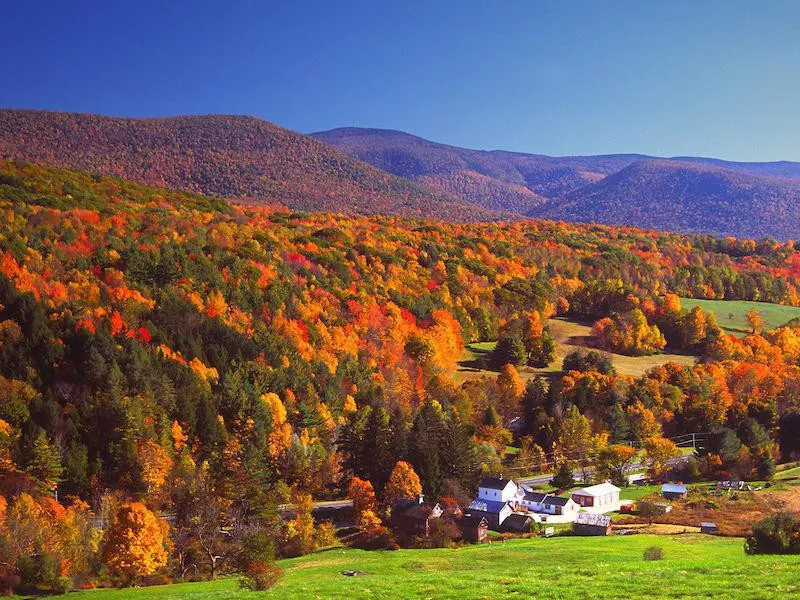 Berkshires