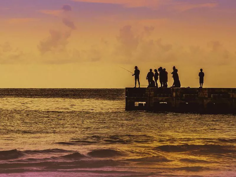 Saltwater fishing at Anna Maria Island