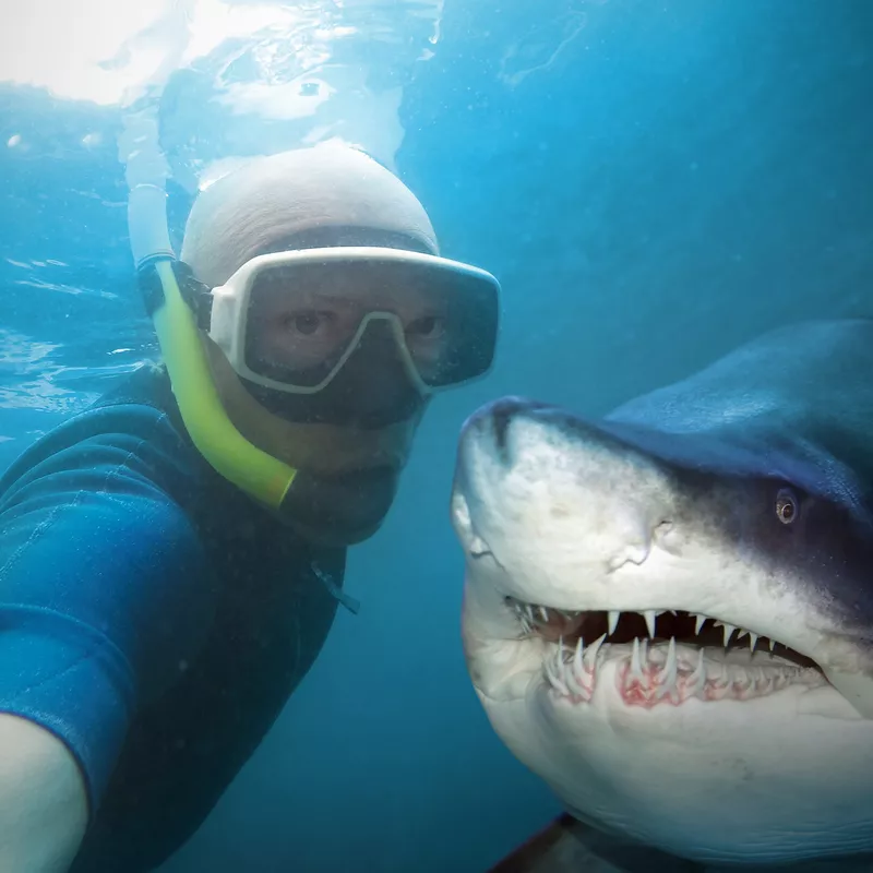 Shark Selfie