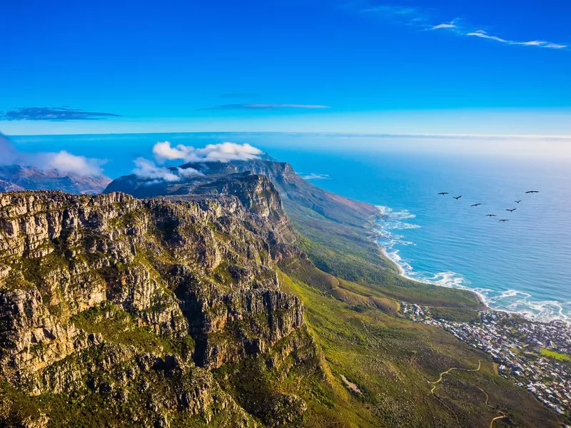 Table Mountain National Park