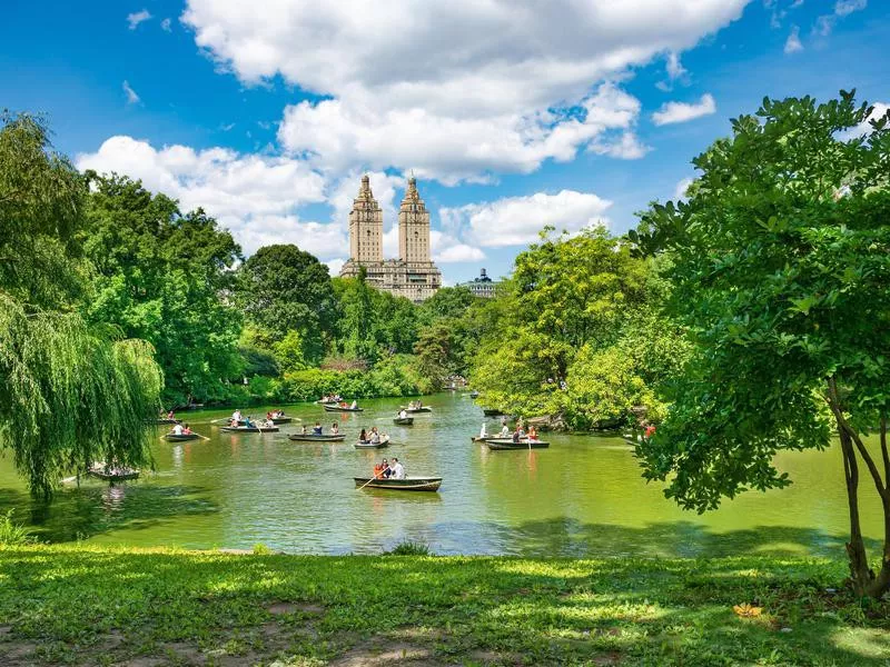 Central Park in New York City