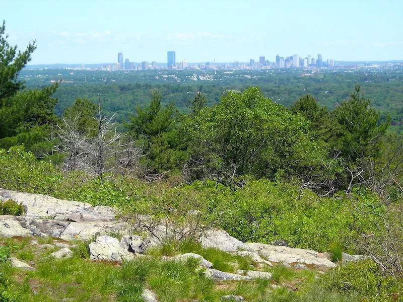 Great Blue Hill via Skyline Trail