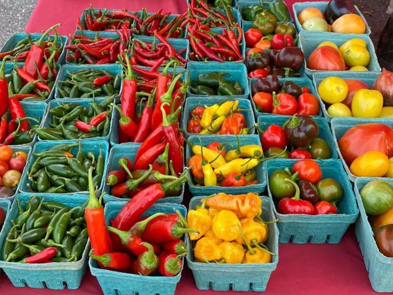 Peppers and tomatoes at the Burlington’s Farmers Market