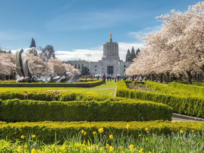 salem oregon state capitol in the spring