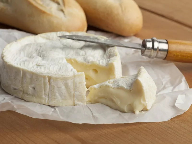 French camembert cheese