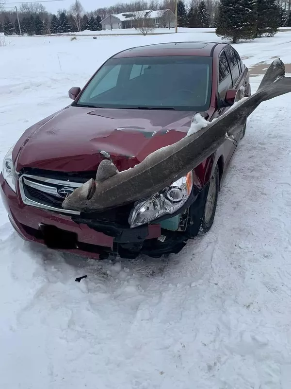 Car with a fish on it